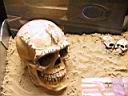 135-3526_img.jpg